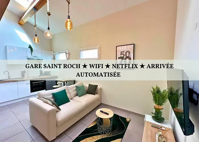 Le Quai Des Orchidees - Centre - Gare Saint Roch - Netflix/Amazon/Youtube/Canal+